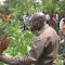 Commercial sorghum and millet farming set for Siaya as farmers embrace indigenous crops