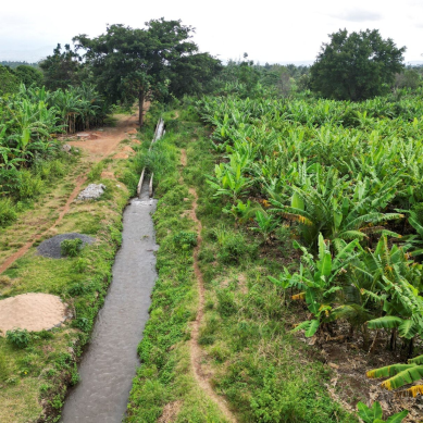 Irrigation canals project in Kenya’s Taita Taveta County stalls after US president funding cuts