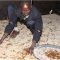 Tsiswa weather forest: Indigenous climate  knowledge used in western Kenya said to provide accurate predictions than modern meteorology