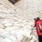 KIAMIS: Kenya embarks on farmer registration to facilitate access to subsidies