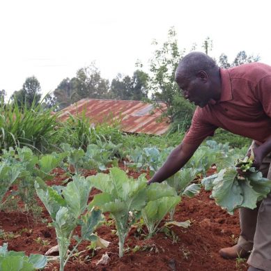 Muranga’a County sets pace for Africa as pioneer in sustainable farming after adopting agro-ecology policy and law