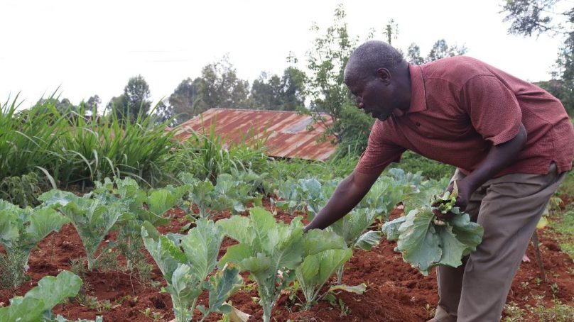 Muranga’a County sets pace for Africa as pioneer in sustainable farming after adopting agro-ecology policy and law
