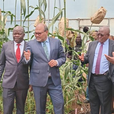 ‘Kenya turns to home-grown scientific research that’s rooted in local realities but universally competitive’