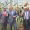 ‘Kenya turns to home-grown scientific research that’s rooted in local realities but universally competitive’