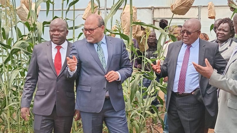 ‘Kenya turns to home-grown scientific research that’s rooted in local realities but universally competitive’