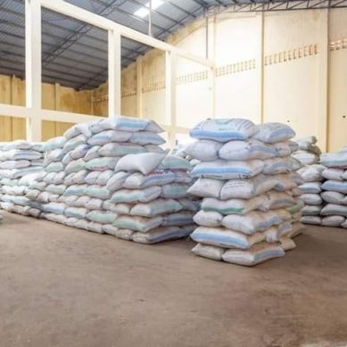 Kenyan court gives government greenlight to import 250,000 metric tonnes of rice