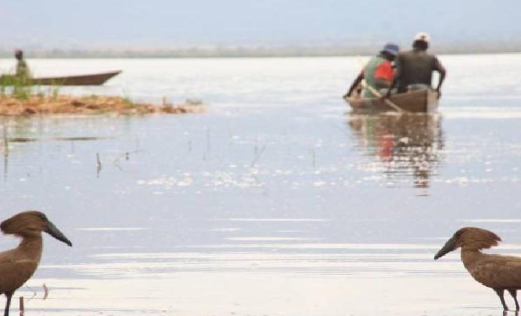 Taita Taveta County government trains fish farmers as blue economy becomes integral to Kenya’s job creation