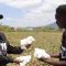 Kenya: How incentives power interest in cotton farming in Taita Taveta as youth jostle for a piece of the pie