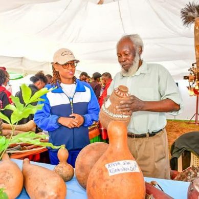 Kenya: Regional governments lobby for bigger slice of Tourism Promotion Fund billions 