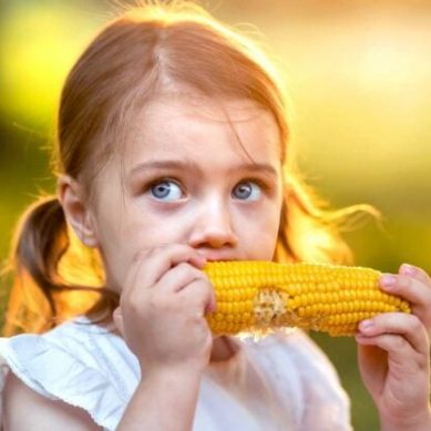 Are GMOs really safe? Geneticist says outdated rules ignore mounting health risks