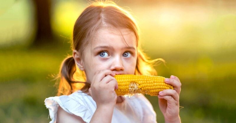 Are GMOs really safe? Geneticist says outdated rules ignore mounting health risks