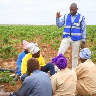 Kenya unveils plans to put 20,000 acres under crop to ramp up food production in arid and semi-arid regions