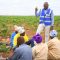 Kenya unveils plans to put 20,000 acres under crop to ramp up food production in arid and semi-arid regions