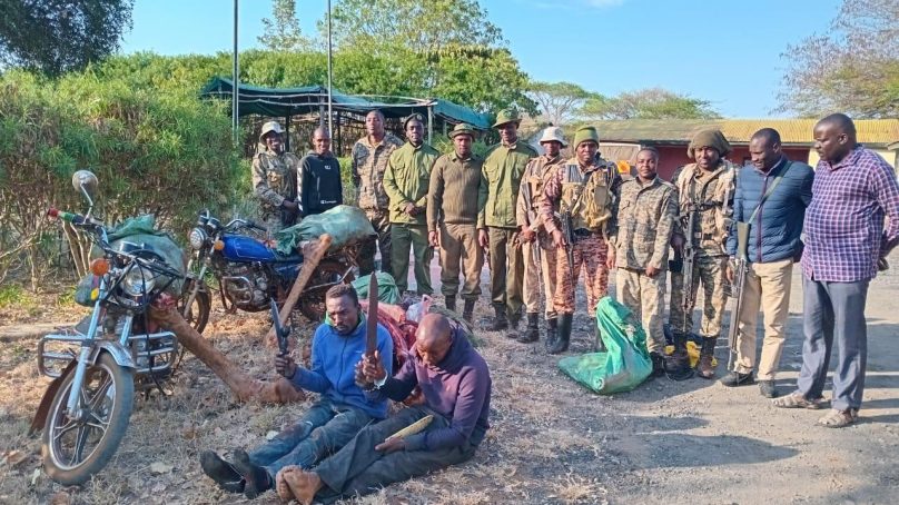 Two men arrested with adult male giraffe meat as Kenya’s game parks report rise in poaching