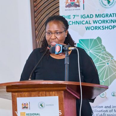 Horn, Eastern African states agree to integrate migration data to inform policy making