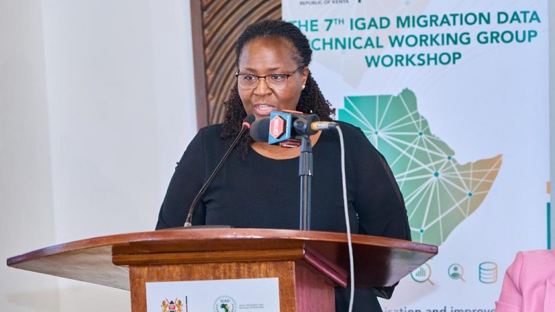 Horn, Eastern African states agree to integrate migration data to inform policy making