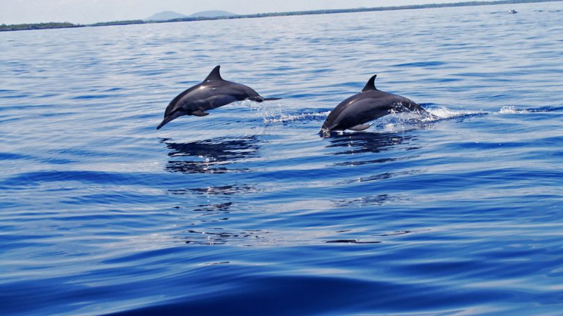 Kenya prioritises exploitation of vast marine resources as next frontier for accelerated economic growth
