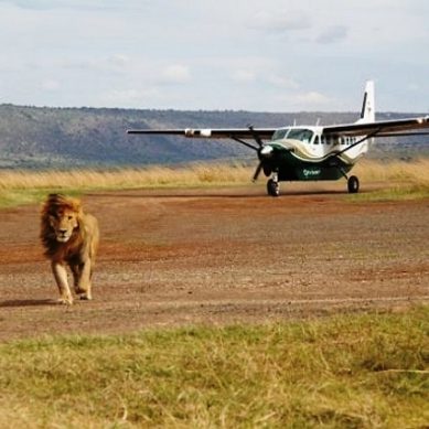 Kenya building 8th international status airport in world-famous Masai Mara Game Reserve