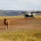 Kenya building 8th international status airport in world-famous Masai Mara Game Reserve