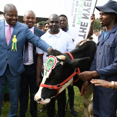 Kenya to restock national strategic food reserve as the country prepares to harvest 70m bags of maize