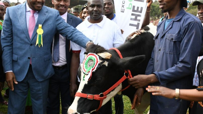 Kenya to restock national strategic food reserve as the country prepares to harvest 70m bags of maize