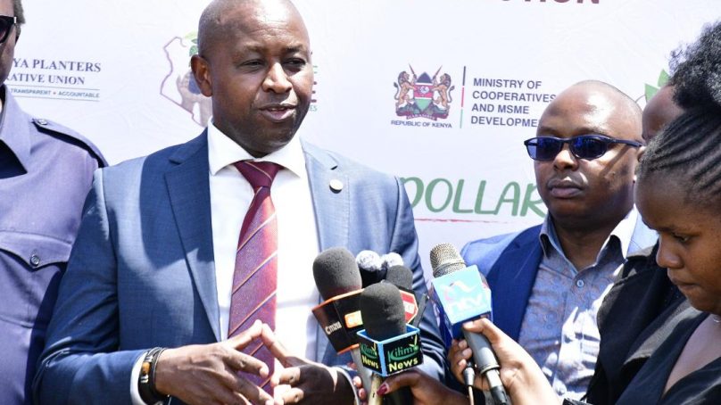 Kenya reforming coffee sector to bring it on same footing with leading producers – minister