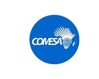Kenya launches Comesa’s electronic certificate of origin to cut costs, curb fraud in customs transactions