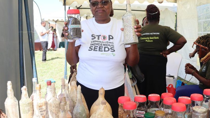 Going cultural: How indigenous seeds crusader in Kenya’s semi-arid Machakos is paving way for sustainable agriculture