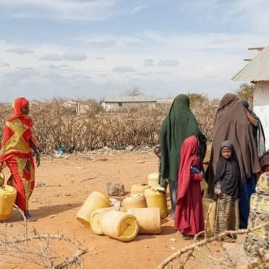 Severe drought ravages northeastern Kenya as residents appeal for government intervention