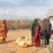 Severe drought ravages northeastern Kenya as residents appeal for government intervention