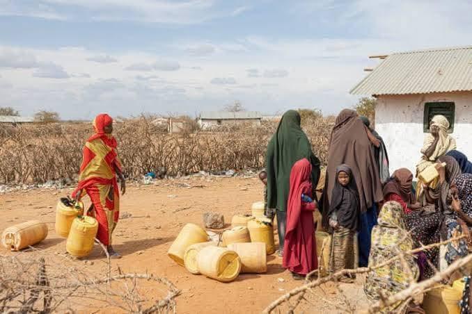 Severe drought ravages northeastern Kenya as residents appeal for government intervention