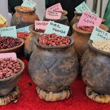 Kenya holds Indigenous Seed Fair 2025 in Laikipia to celebrate seeds, food and culture, place premium on local foods