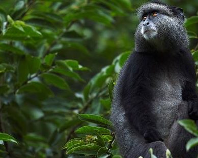 Kenya spruces up western tourism circuit as it diversifies products in drive to pull in four million international tourists