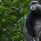 Kenya spruces up western tourism circuit as it diversifies products in drive to pull in four million international tourists