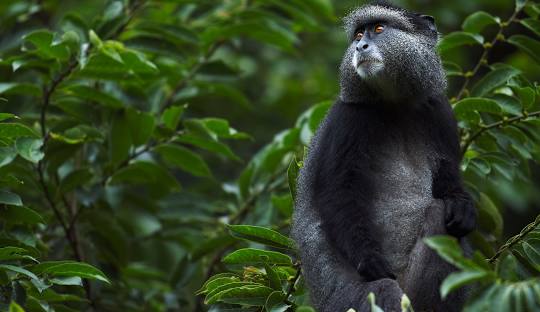 Kenya spruces up western tourism circuit as it diversifies products in drive to pull in four million international tourists