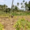 While farming community is the most studied population in Kenya, new evidence now links climate change to mental health