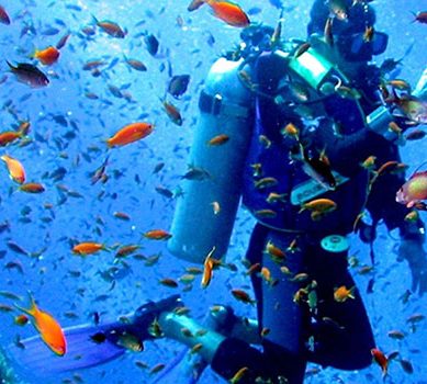 Kenya inaugurates marine research centre at the coast for under-studied biodiversity hotspots in Lamu, Tana River and Kwale