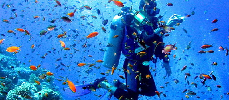 Kenya inaugurates marine research centre at the coast for under-studied biodiversity hotspots in Lamu, Tana River and Kwale