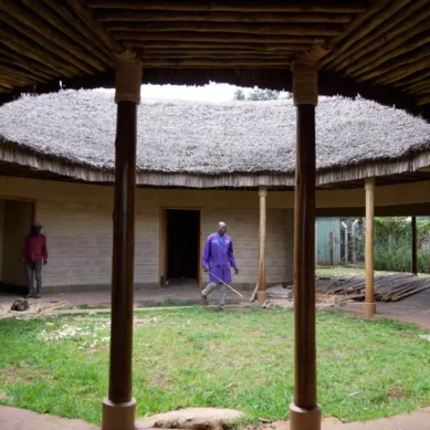 Home ownership: Mushroom farm in Kenya grows fungi on industrial scale to make affordable building materials