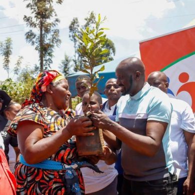 Murang’s senator: There’s urgent need for stricter  measures to halt deforestation in Kenya