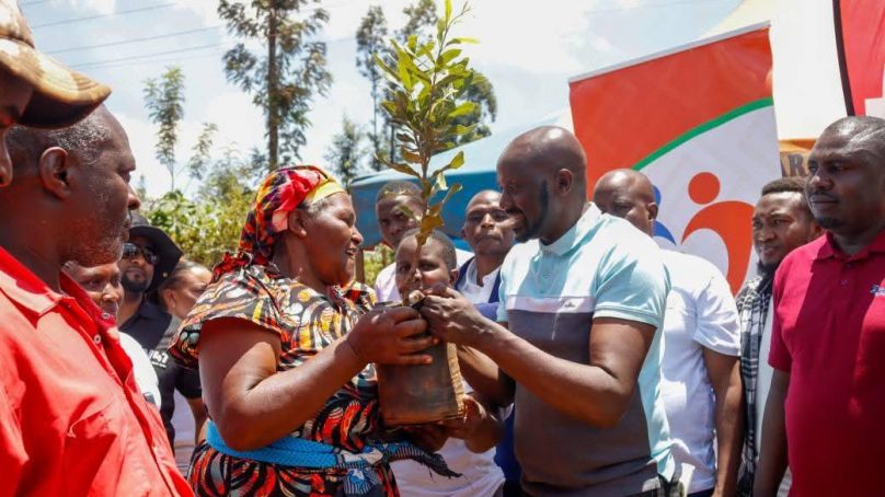 Murang’s senator: There’s urgent need for stricter  measures to halt deforestation in Kenya