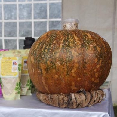 Exhibitors at indigenous seeds fair in Nanyuki question Kenya’s discriminatory seeds law