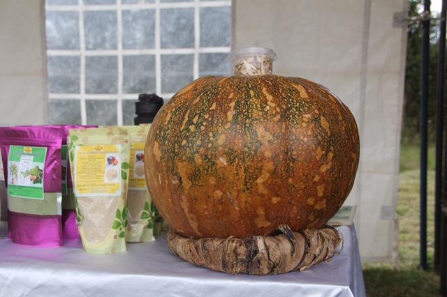 Exhibitors at indigenous seeds fair in Nanyuki question Kenya’s discriminatory seeds law
