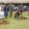 National Biosafety Authority initiates biosafety tree gardens programme in schools