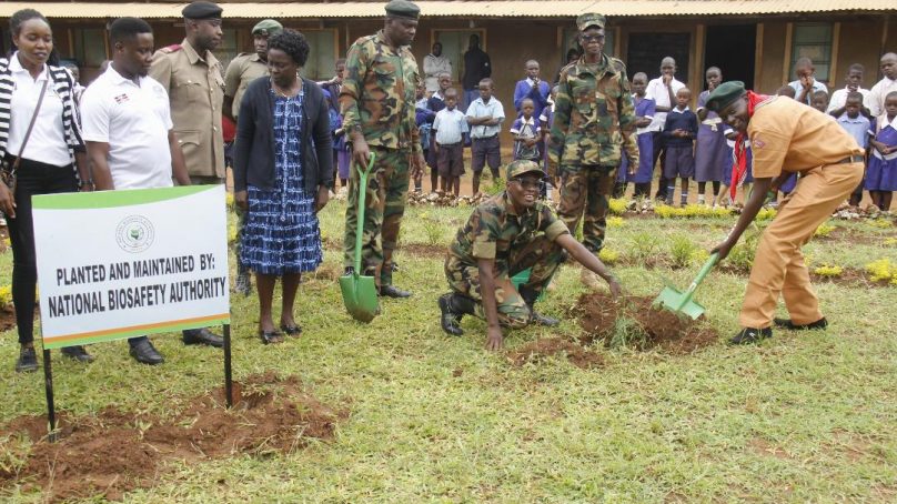 National Biosafety Authority initiates biosafety tree gardens programme in schools