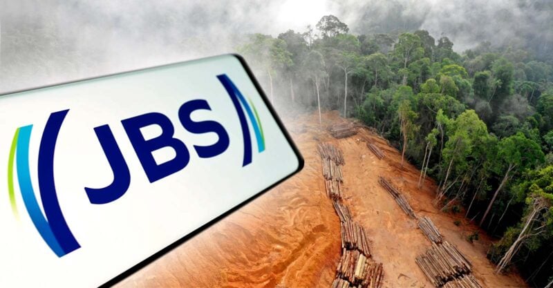 How Brazilian meat giant JBS became nexus of corruption, labour abuses, cattle laundering and Amazon deforestation