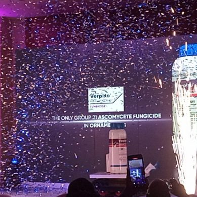 Evolving pest pressures, stricter market demands push Kenya Flower Council into the red corner