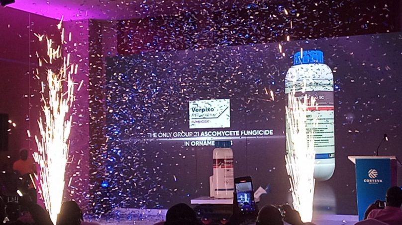 Evolving pest pressures, stricter market demands push Kenya Flower Council into the red corner