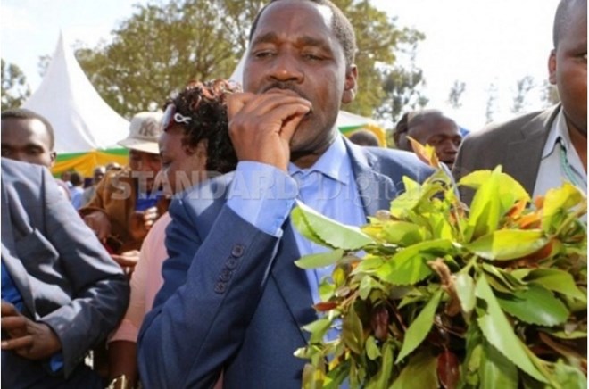 Khat: Lethal herb turning avid consumers in northern Kenya into zombies as abuse outstrips control capacity