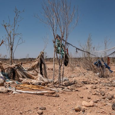 Why Sahel’s Great Green Wall is a non-starter: International funding often prioritises ‘Western imaginary of Africa’